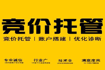 金融行业SEM服务的创新应用与效果